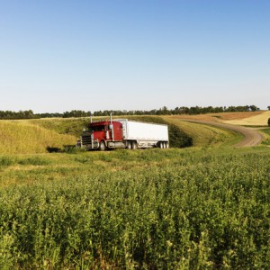 Semi tractor truck on rural road with green plants on shoulder.