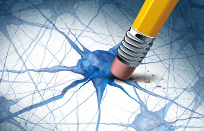 A pencil sketches a line across a neuron, symbolizing the intersection of creativity and neuroscience.